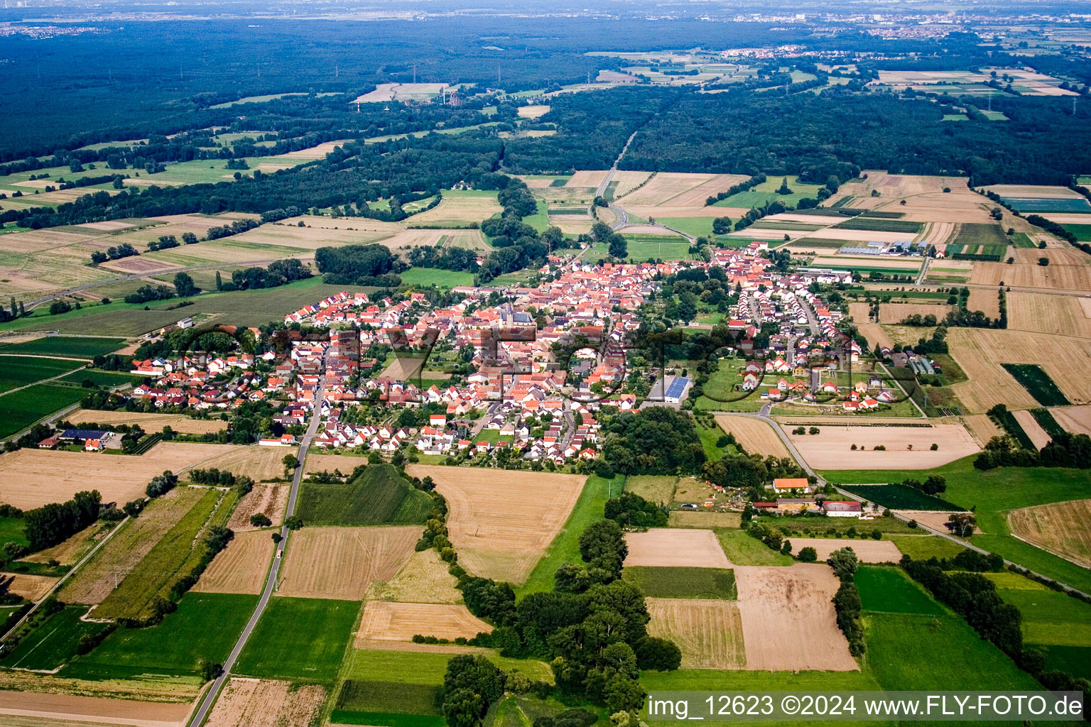 From the west in the district Geinsheim in Neustadt an der Weinstraße in the state Rhineland-Palatinate, Germany