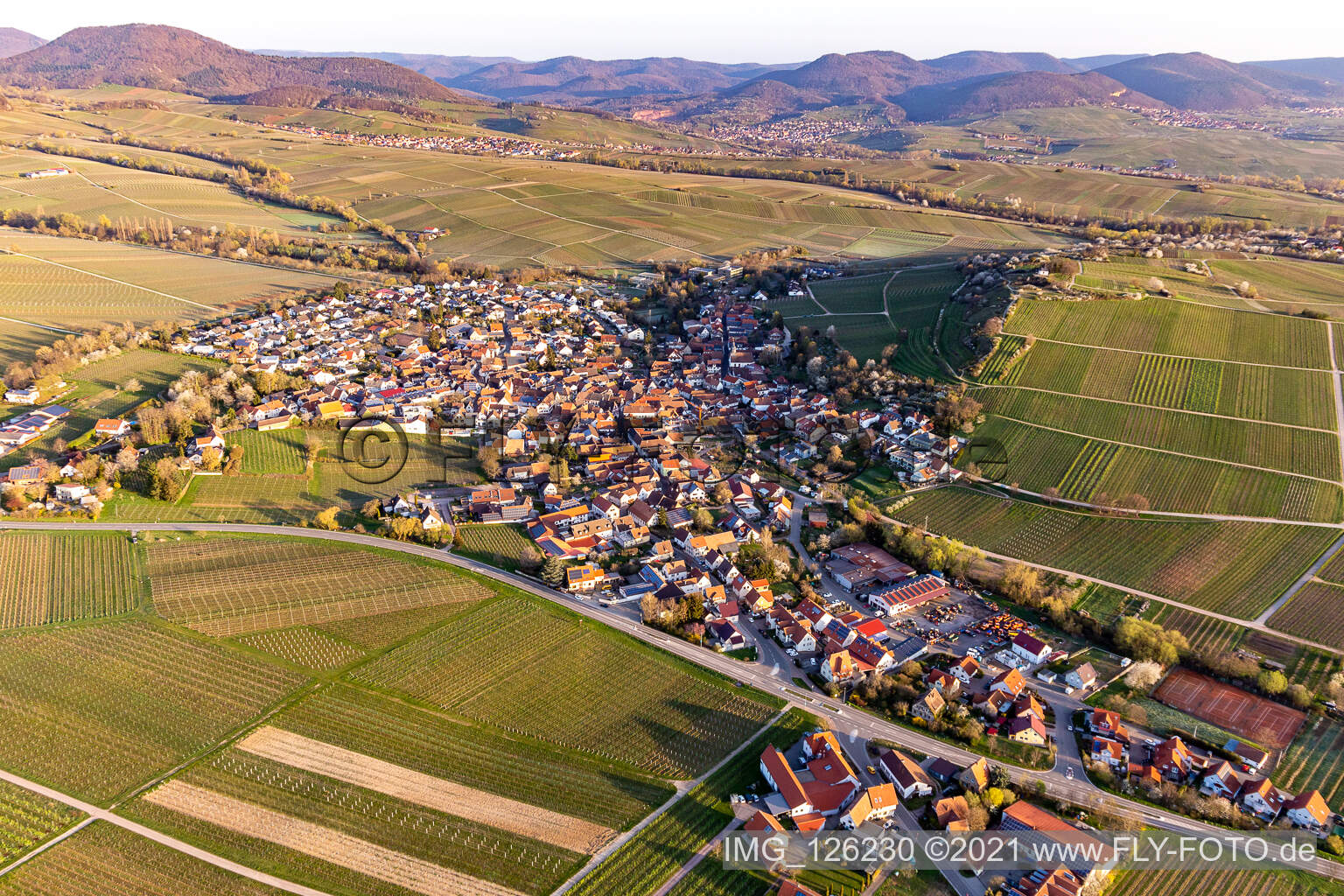 Agricultural land and field borders surround the settlement area in spring of the village in Ilbesheim bei Landau in der Pfalz in the state Rhineland-Palatinate, Germany