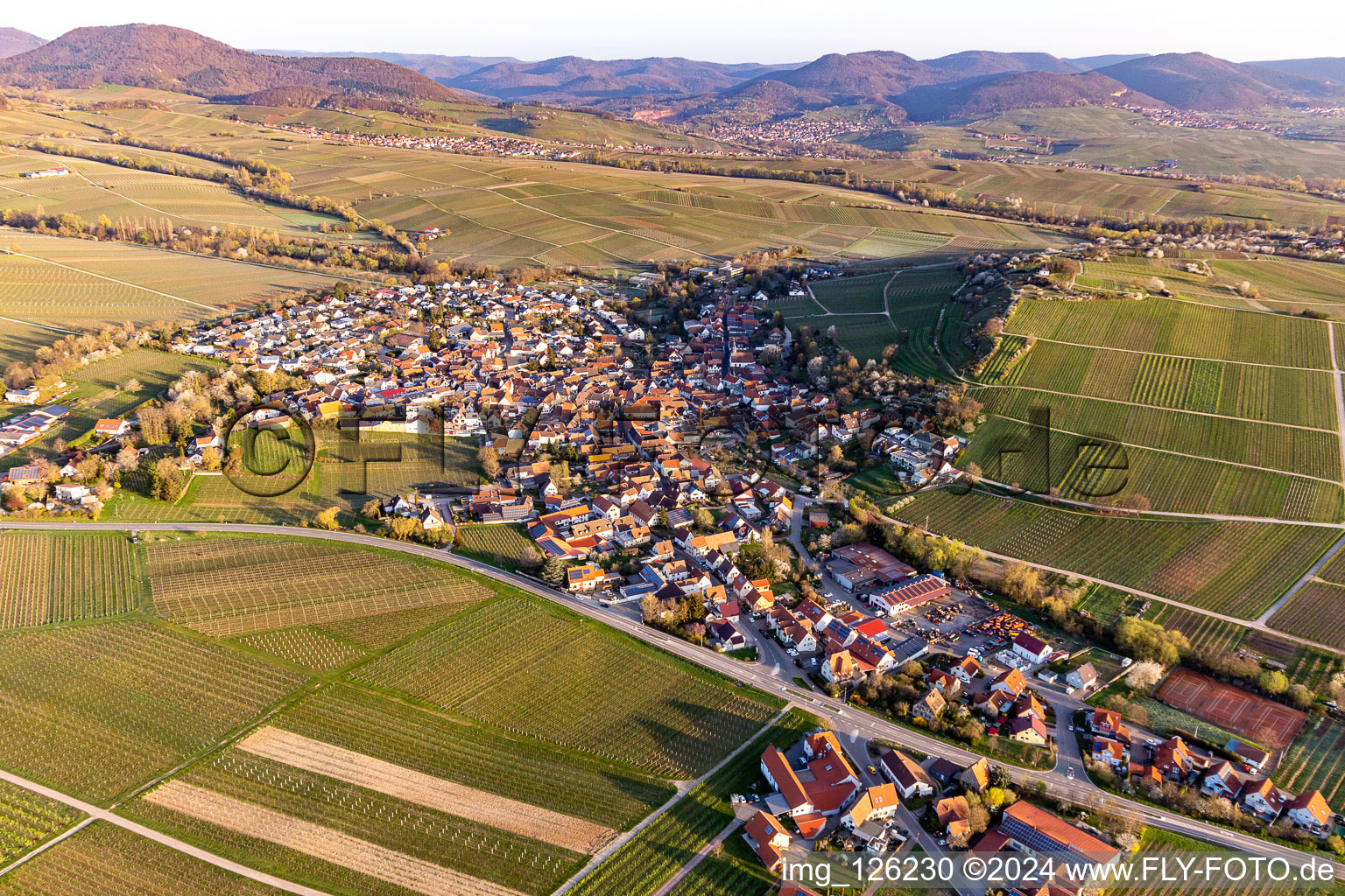 Agricultural land and field borders surround the settlement area in spring of the village in Ilbesheim bei Landau in der Pfalz in the state Rhineland-Palatinate, Germany