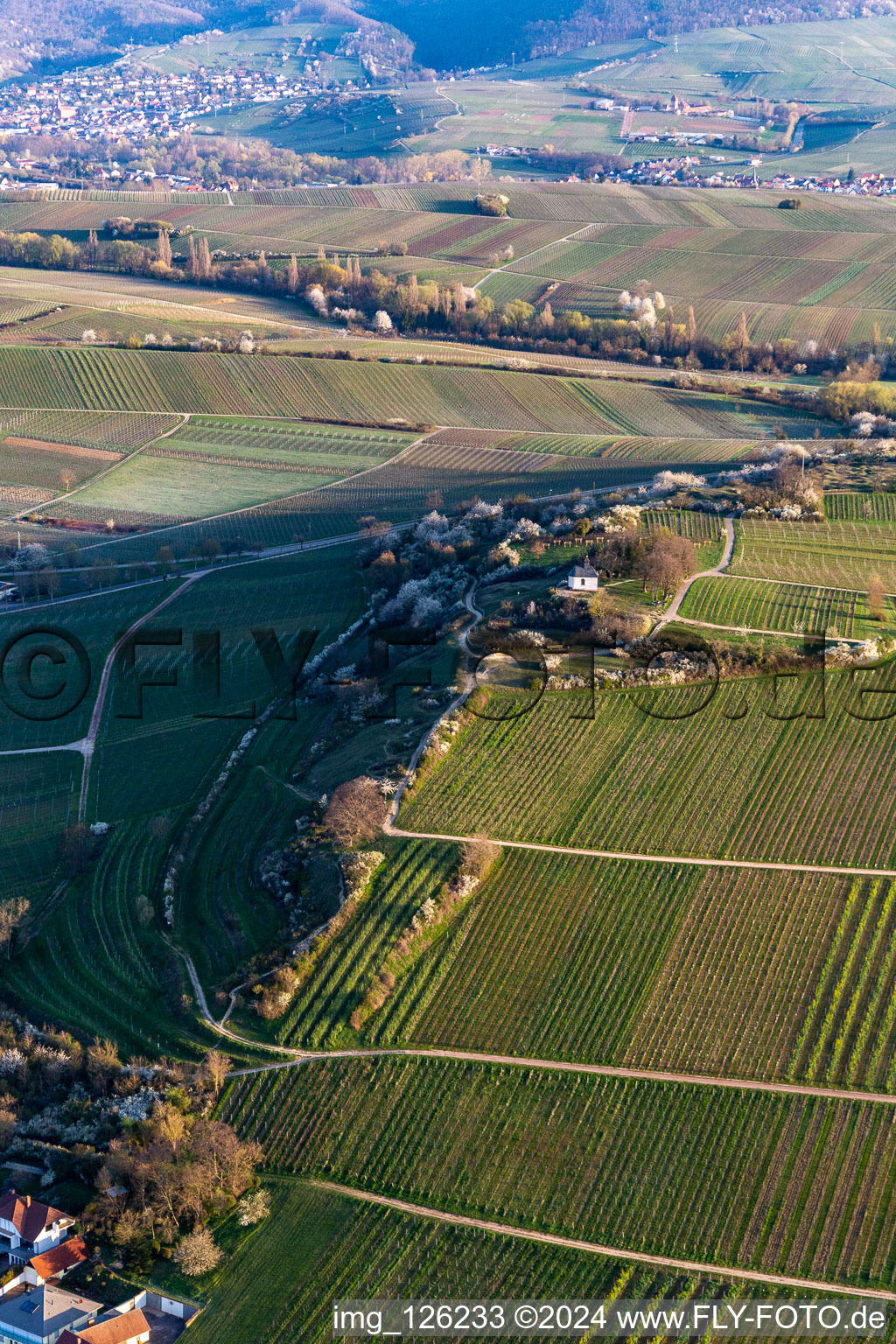 Aerial view of Chapel "Kleine Kalmit" in the Kleine Kalmit nature reserve on Easter morning with spring blossom in Ilbesheim bei Landau in der Pfalz in the state Rhineland-Palatinate, Germany