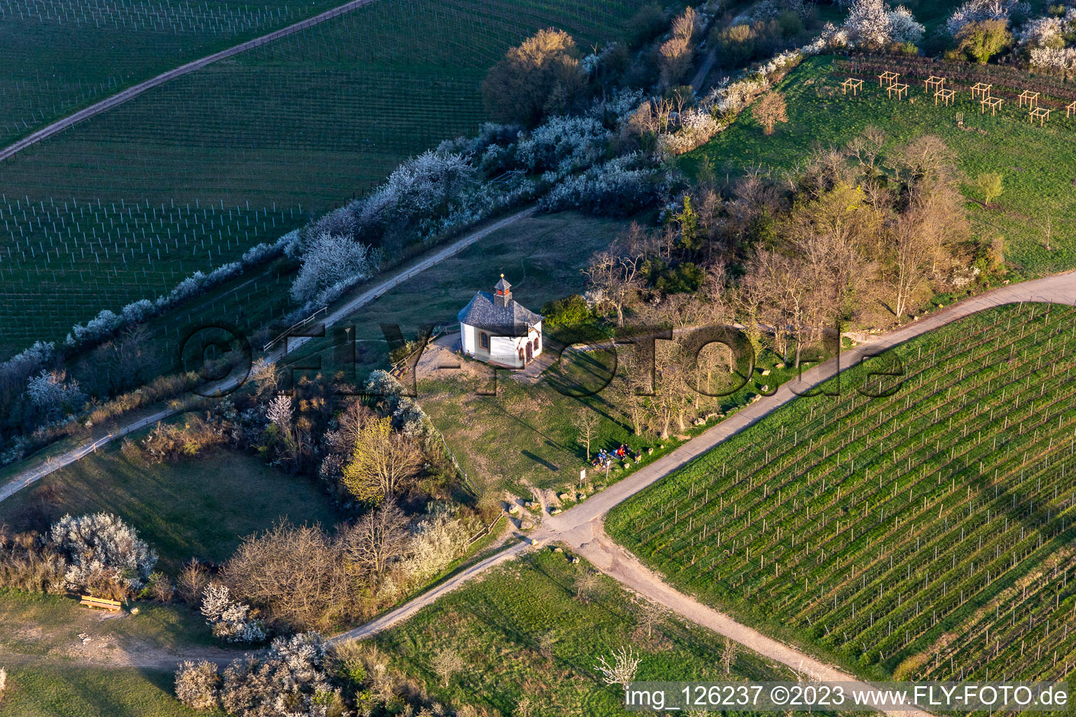 Aerial view of "Kleine Kalmit" chapel in the Kleine Kalmit nature reserve on Easter morning with spring bloom in Ilbesheim bei Landau in der Pfalz in the state Rhineland-Palatinate