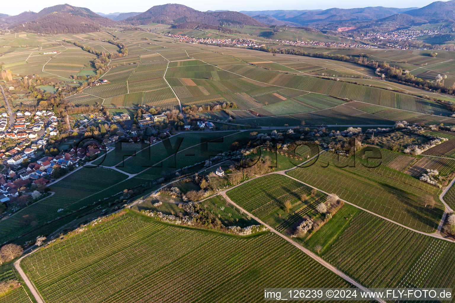 Chapel "Kleine Kalmit" in the Kleine Kalmit nature reserve on Easter morning with spring blossom in Ilbesheim bei Landau in der Pfalz in the state Rhineland-Palatinate, Germany from above