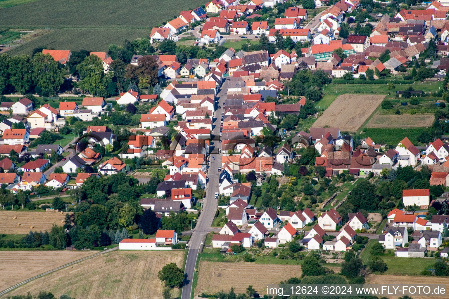 Duttweiler Street in the district Geinsheim in Neustadt an der Weinstraße in the state Rhineland-Palatinate, Germany