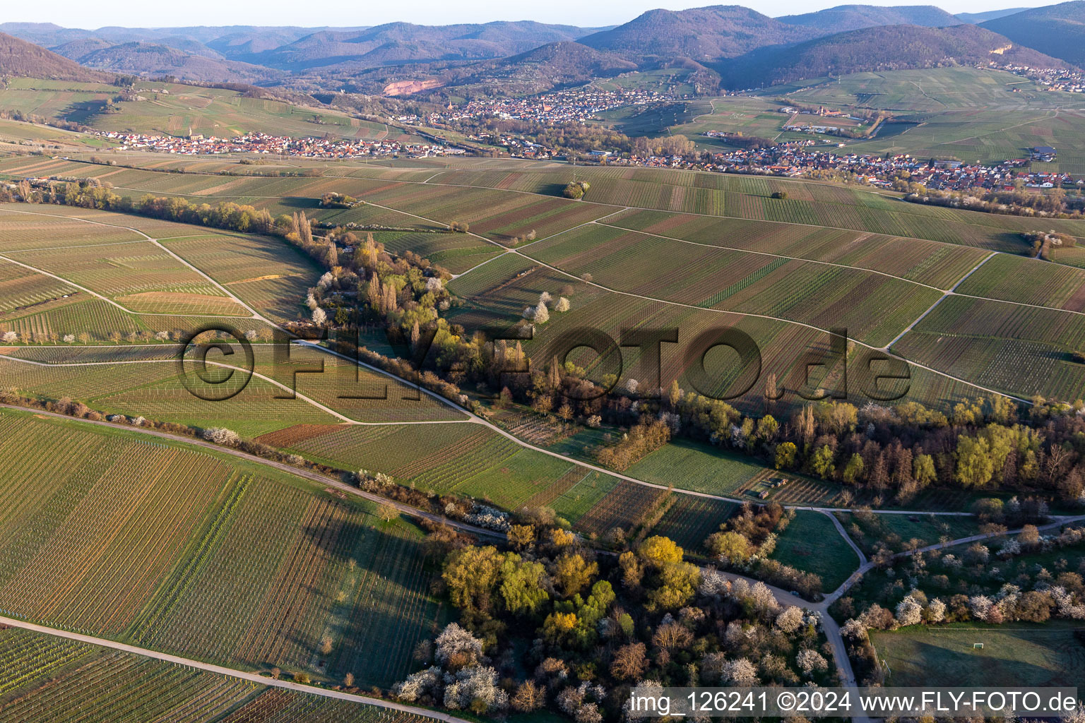 Ranschbach Valley in Ranschbach in the state Rhineland-Palatinate, Germany