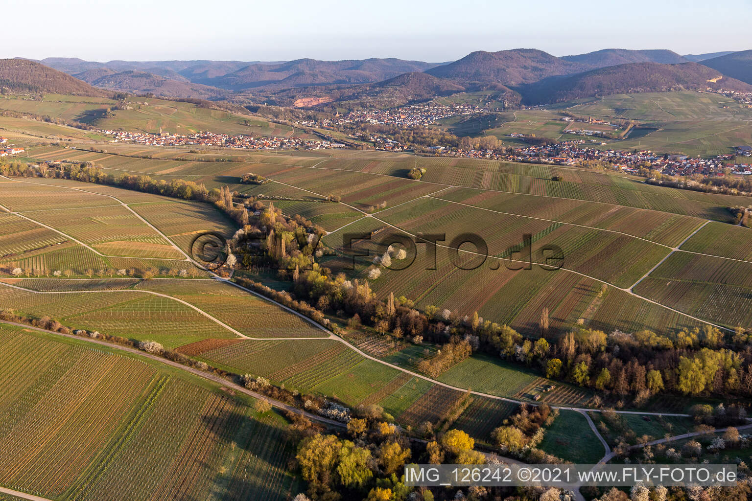 Aerial view of Ranschbachtal in Ranschbach in the state Rhineland-Palatinate, Germany
