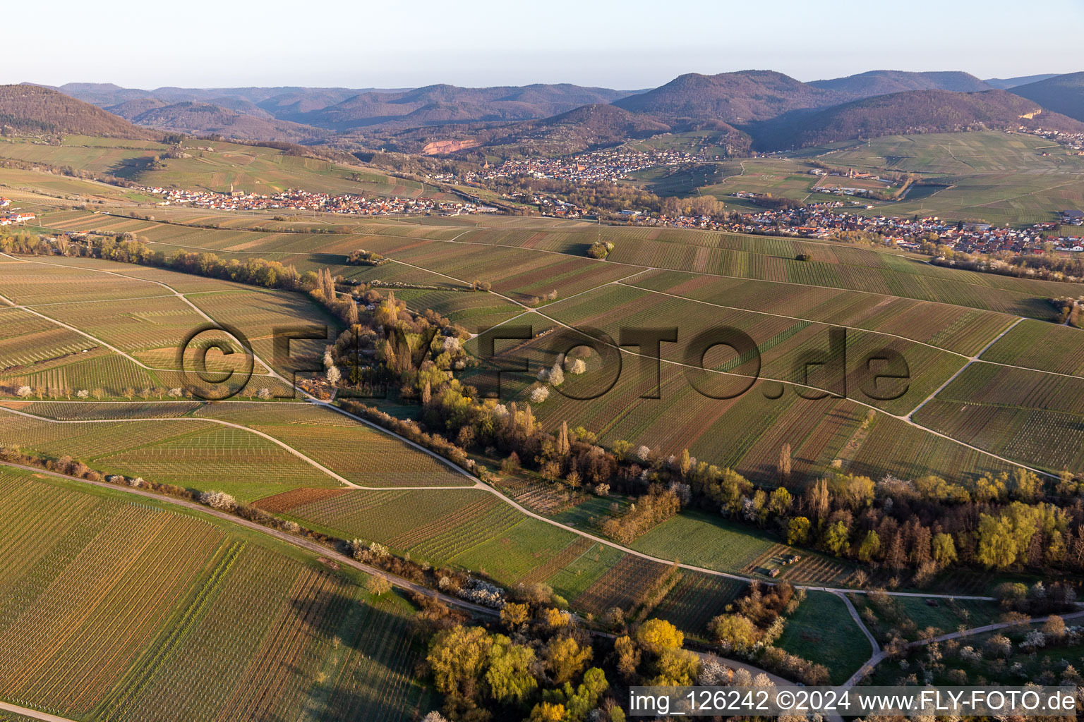 Aerial view of Ranschbachtal in Ranschbach in the state Rhineland-Palatinate, Germany