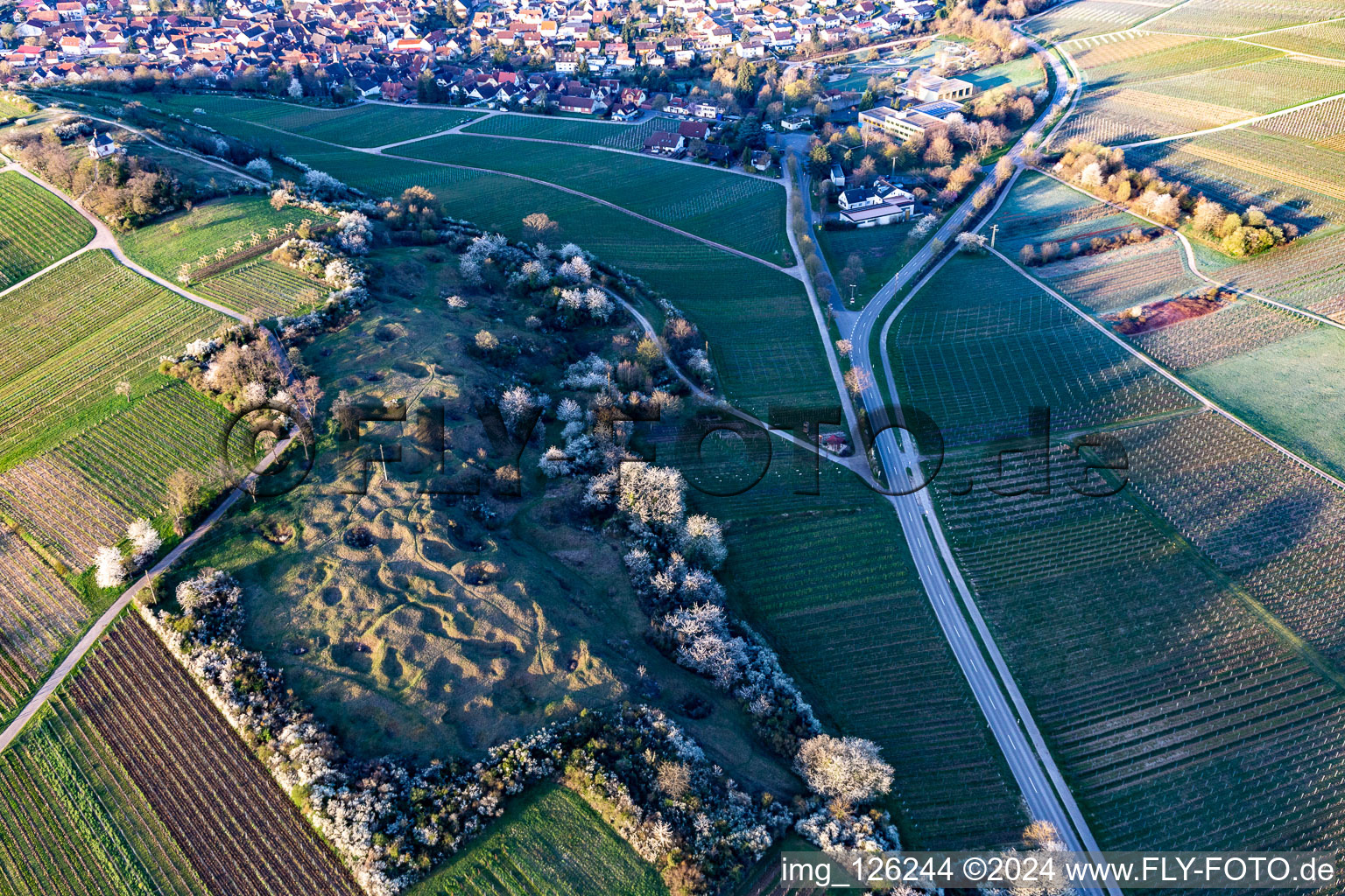 Aerial view of Kleine Kalmit nature reserve on Easter morning with spring blossoms in the district Arzheim in Landau in der Pfalz in the state Rhineland-Palatinate, Germany