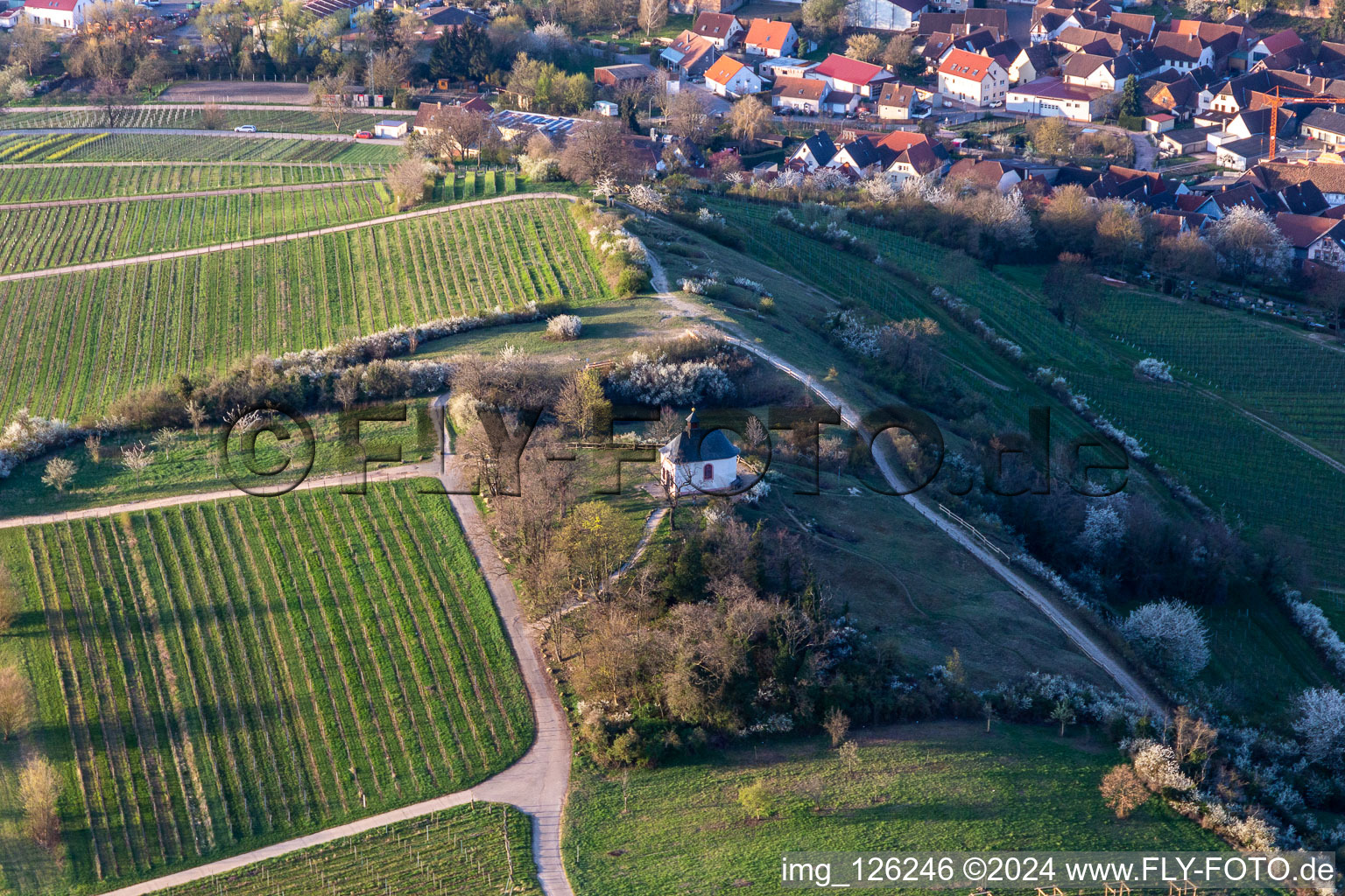 Aerial photograpy of "Kleine Kalmit" chapel in the Kleine Kalmit nature reserve on Easter morning with spring bloom in Ilbesheim bei Landau in der Pfalz in the state Rhineland-Palatinate