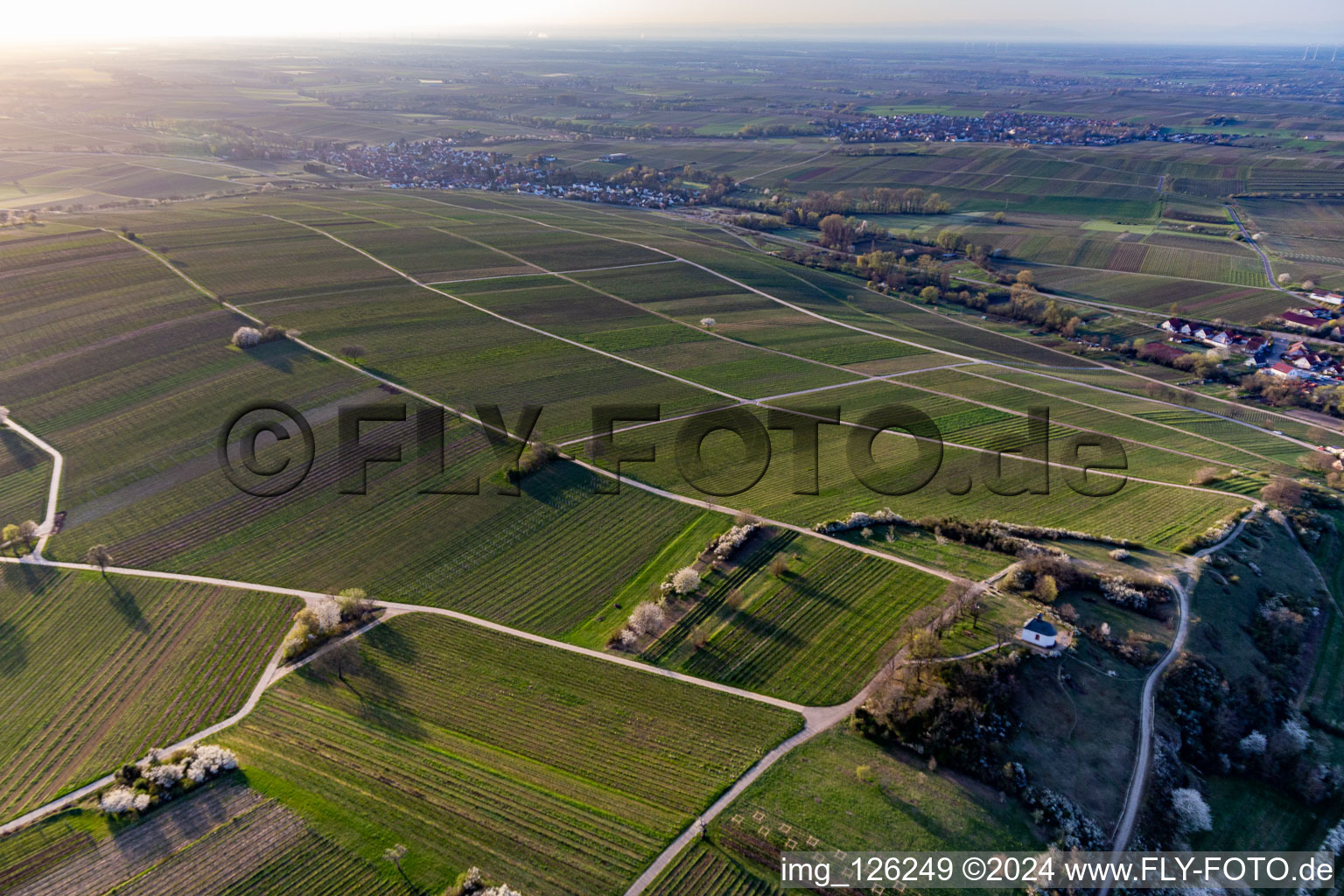 Aerial photograpy of Chapel "Kleine Kalmit" in the Kleine Kalmit nature reserve on Easter morning with spring blossom in Ilbesheim bei Landau in der Pfalz in the state Rhineland-Palatinate, Germany