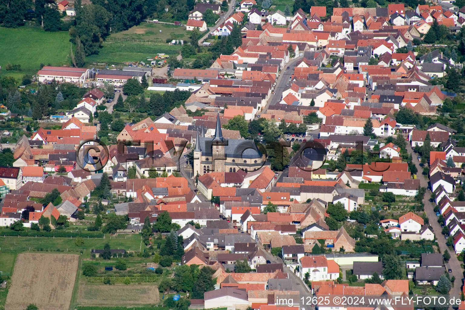 Village view in the district Geinsheim in Neustadt an der Weinstrasse in the state Rhineland-Palatinate