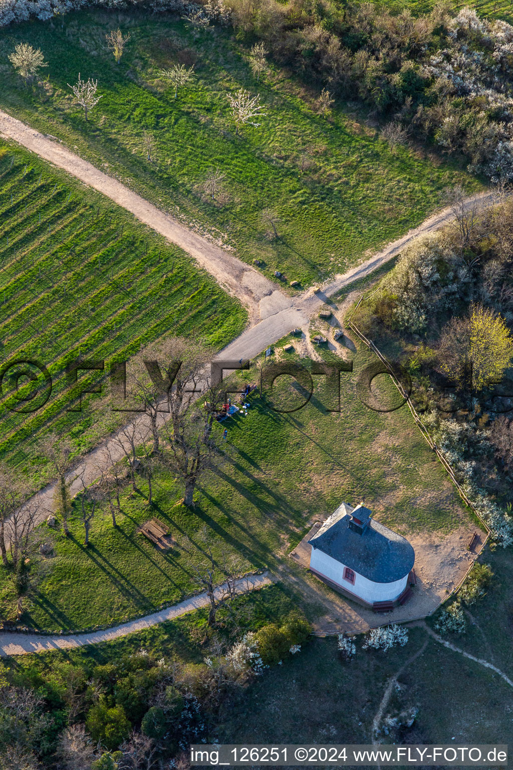 Oblique view of Chapel "Kleine Kalmit" in the Kleine Kalmit nature reserve on Easter morning with spring blossom in Ilbesheim bei Landau in der Pfalz in the state Rhineland-Palatinate, Germany