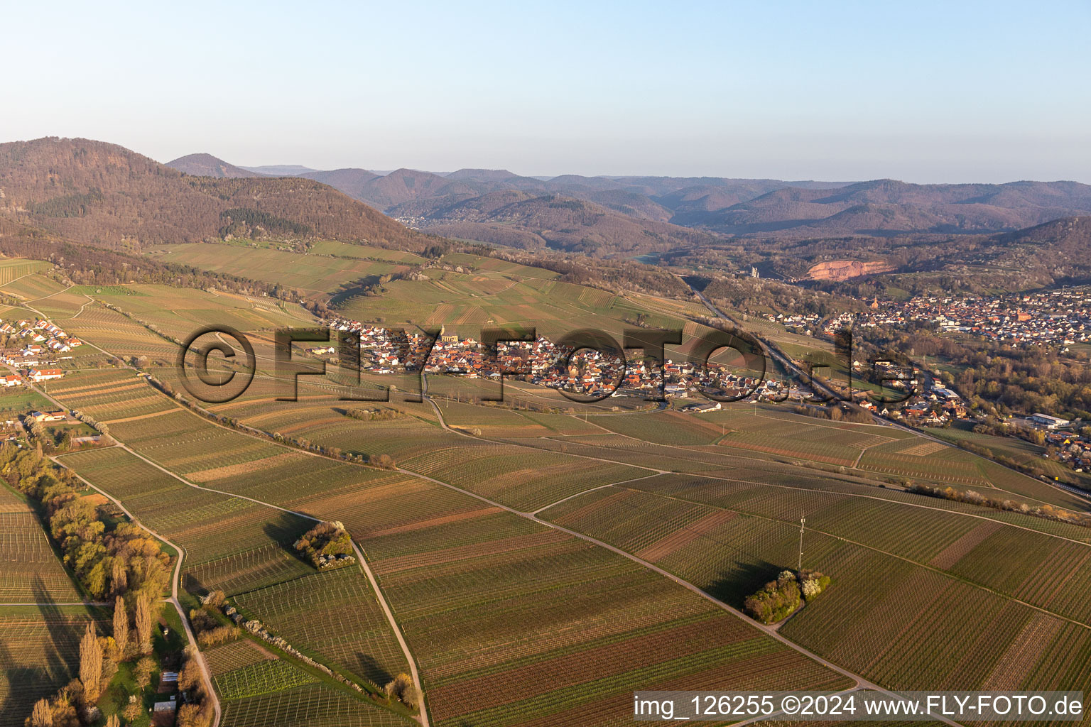 Aerial view of Birkweiler in the state Rhineland-Palatinate, Germany