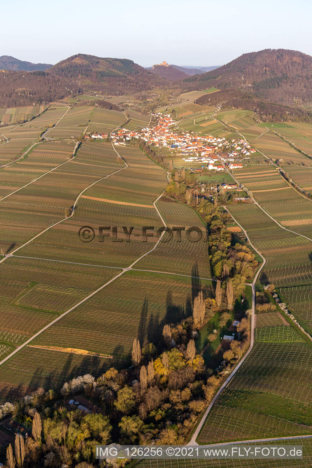 Village - view on the edge of wine yards in the spring before the Trifels in Birkweiler in the state Rhineland-Palatinate