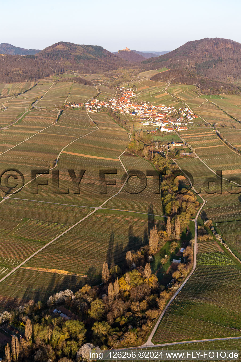 Village - view on the edge of wine yards in the spring before the Trifels in Birkweiler in the state Rhineland-Palatinate