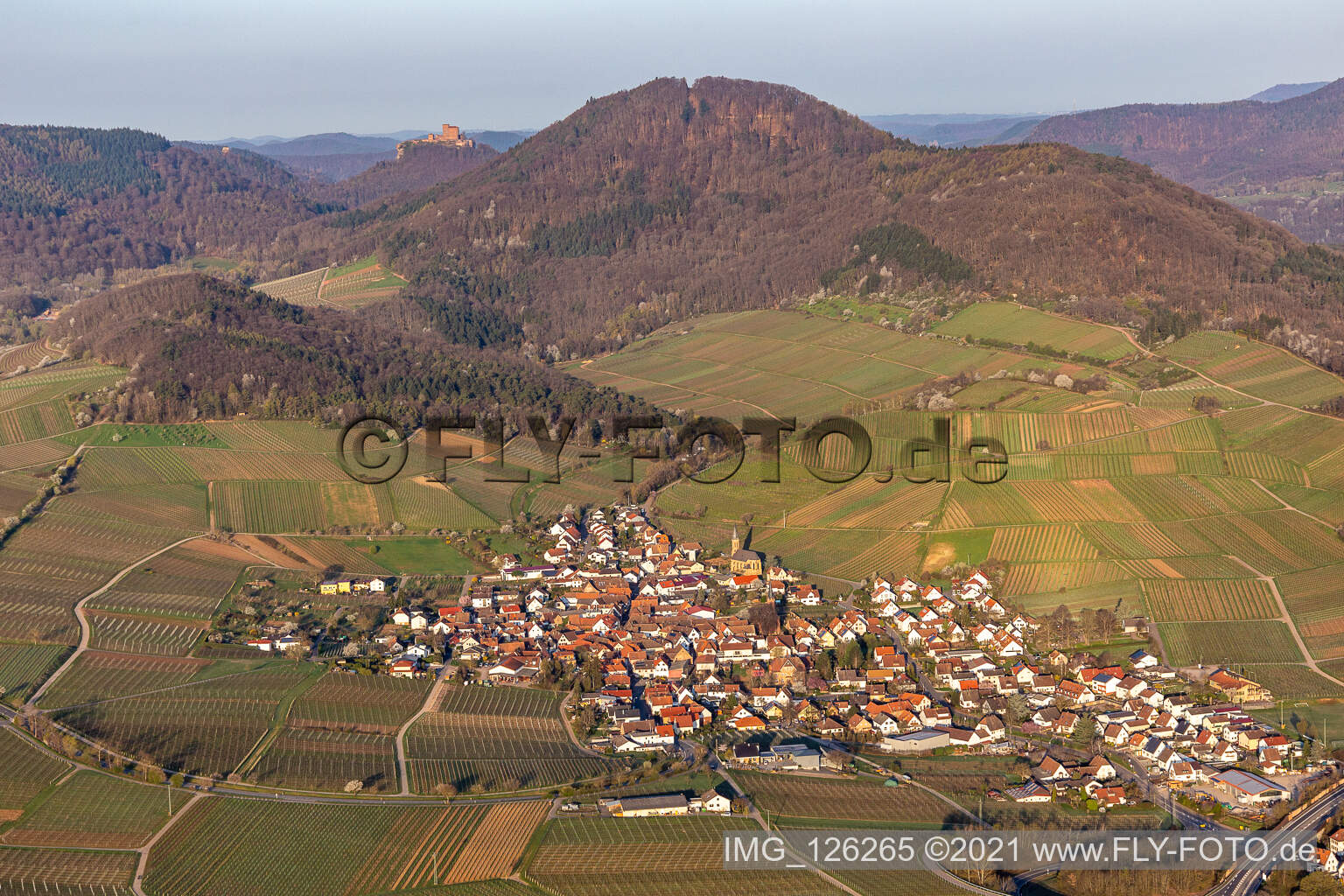 Village - view on the edge of wine yards in the spring before the Trifels in Birkweiler in the state Rhineland-Palatinate