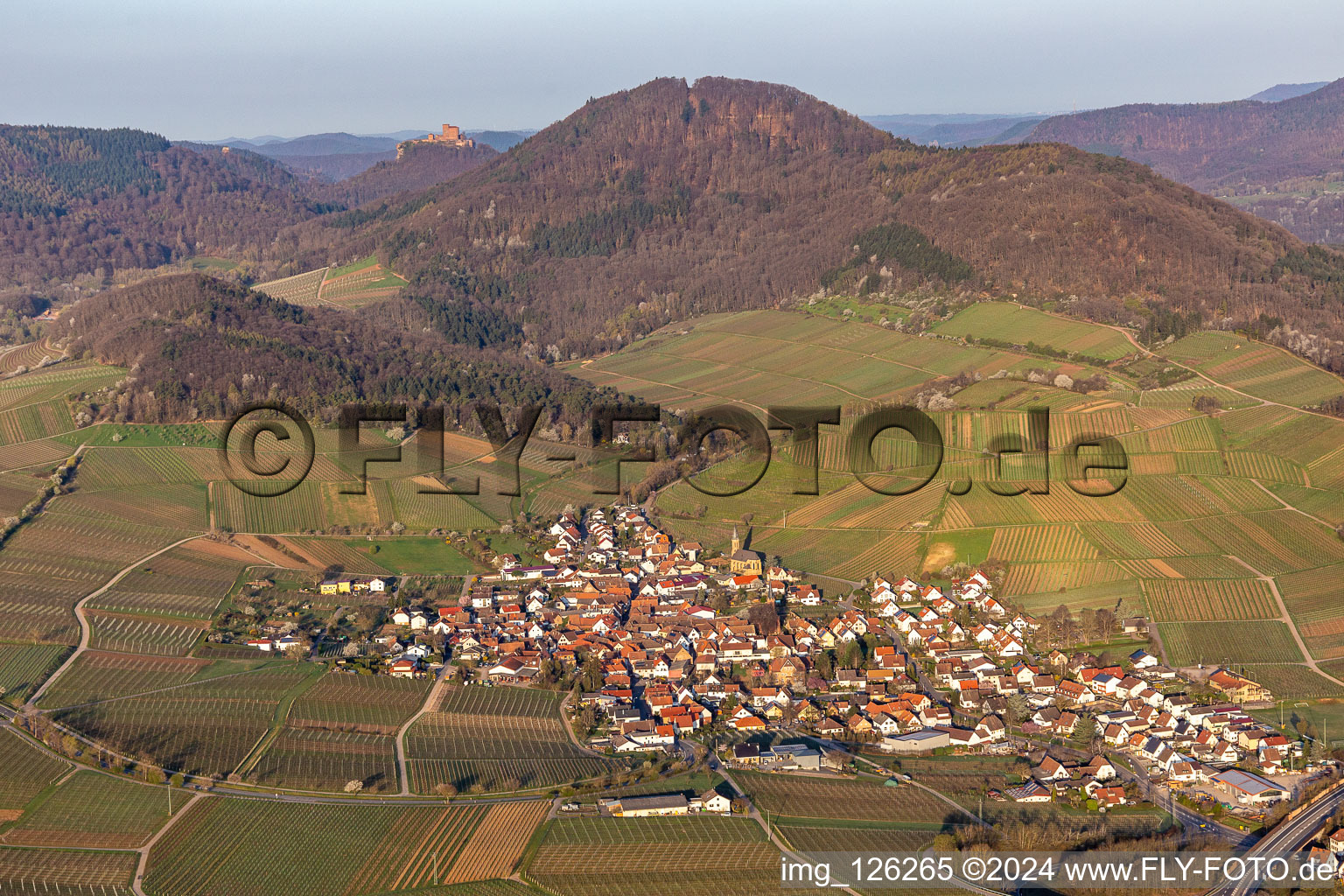 Village - view on the edge of wine yards in the spring before the Trifels in Birkweiler in the state Rhineland-Palatinate