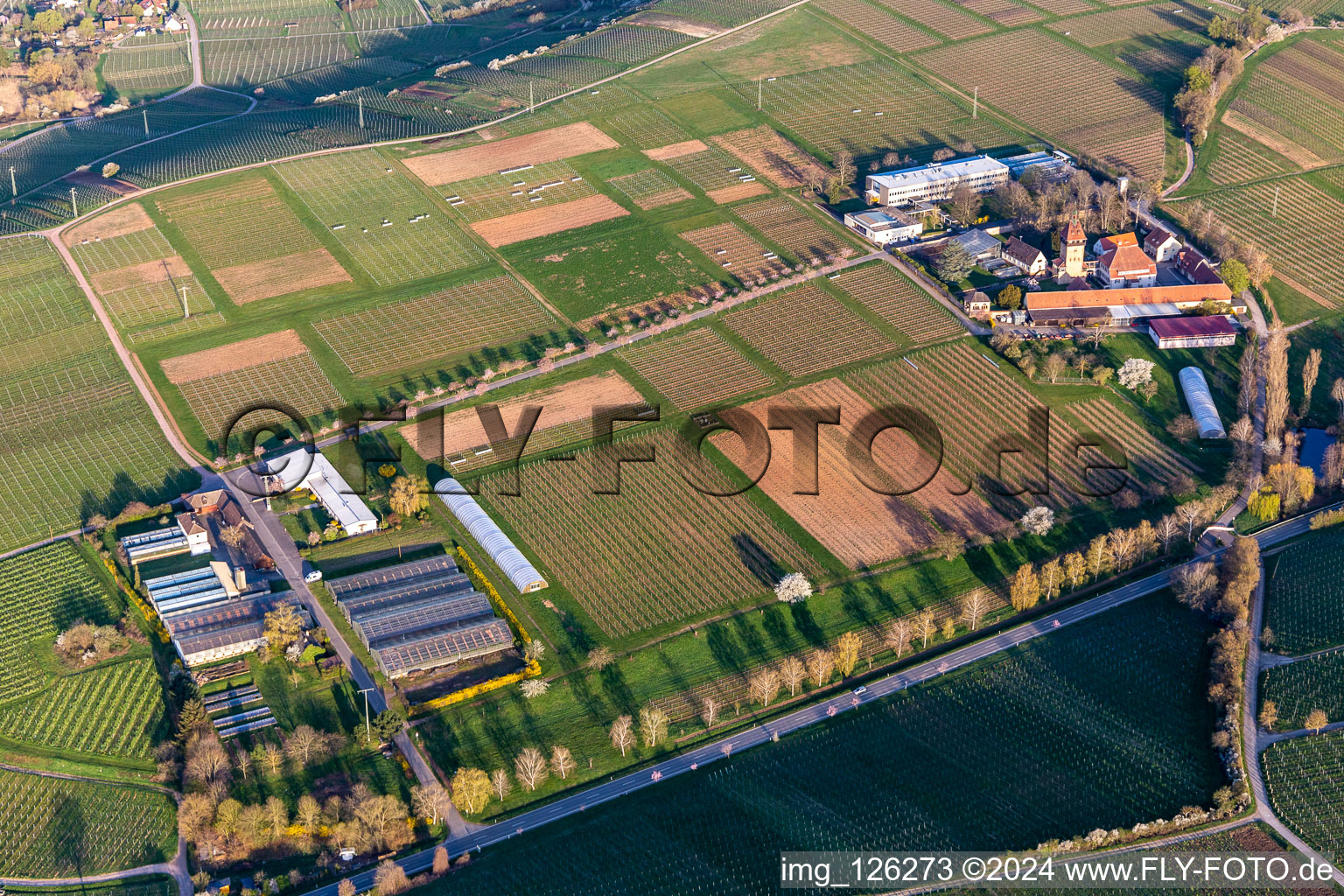 Aerial view of Building complex of the Institute Julius Kuehn Rebforschungsanstalt Geilweilerhof mit bluehenden Mandelbaeumen in Siebeldingen in the state Rhineland-Palatinate, Germany