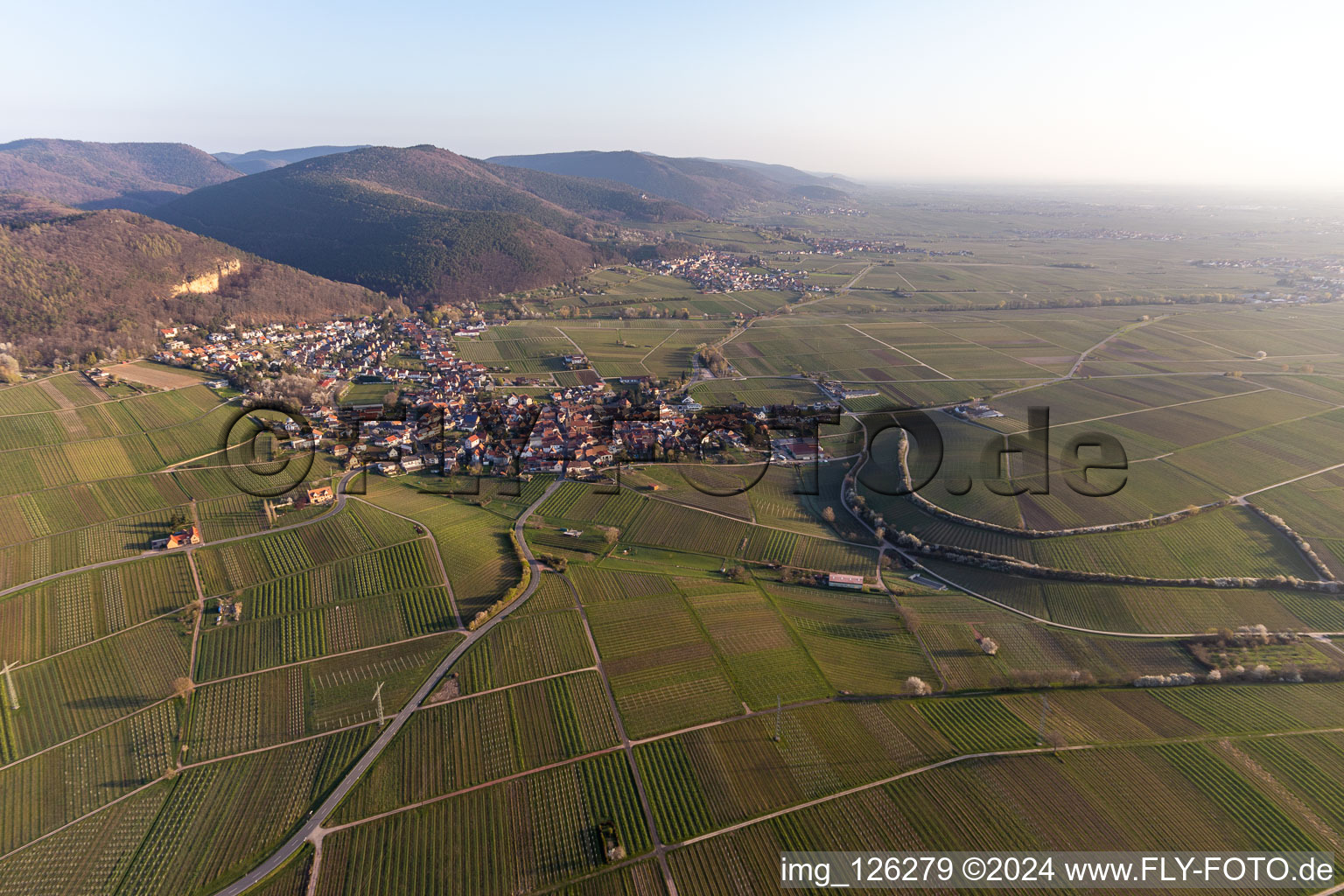 Frankweiler in the state Rhineland-Palatinate, Germany from the drone perspective