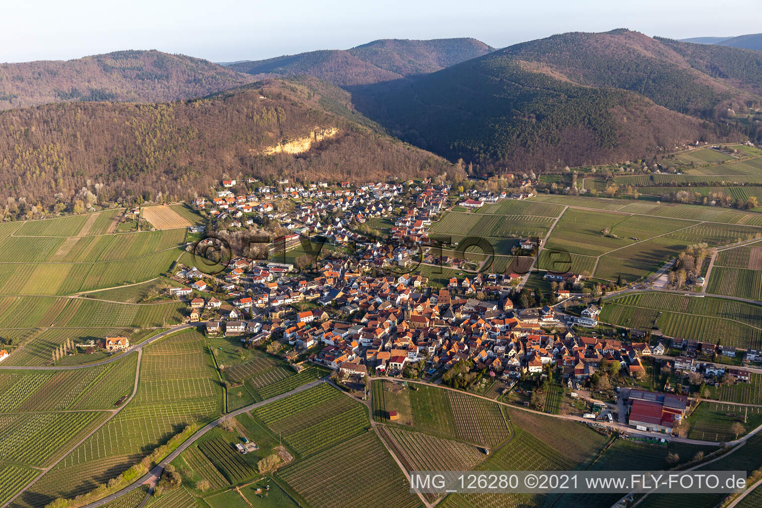 Frankweiler in the state Rhineland-Palatinate, Germany seen from a drone