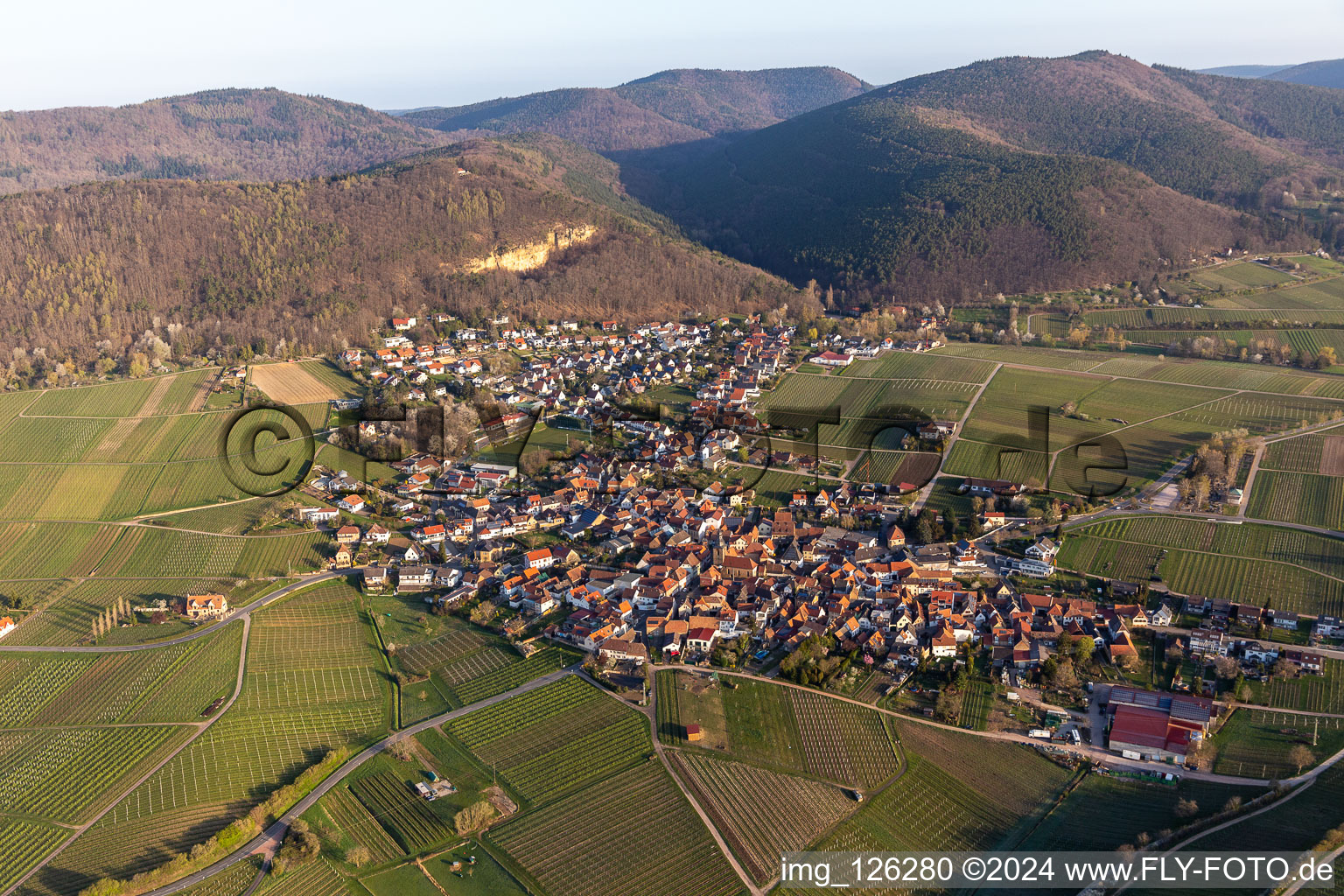 Frankweiler in the state Rhineland-Palatinate, Germany from a drone