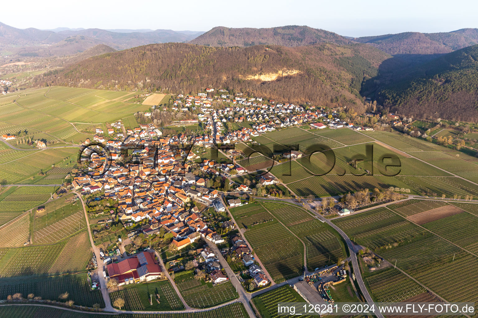 Village view in Frankweiler in the state Rhineland-Palatinate, Germany