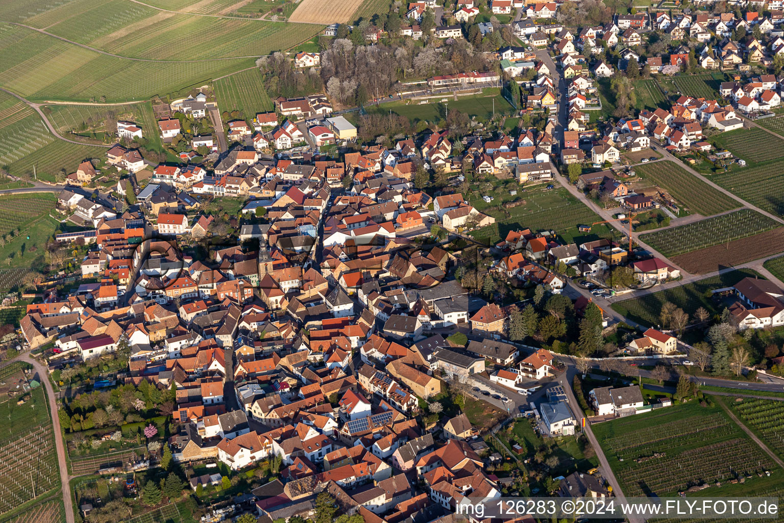 Aerial view of Village view in Frankweiler in the state Rhineland-Palatinate, Germany