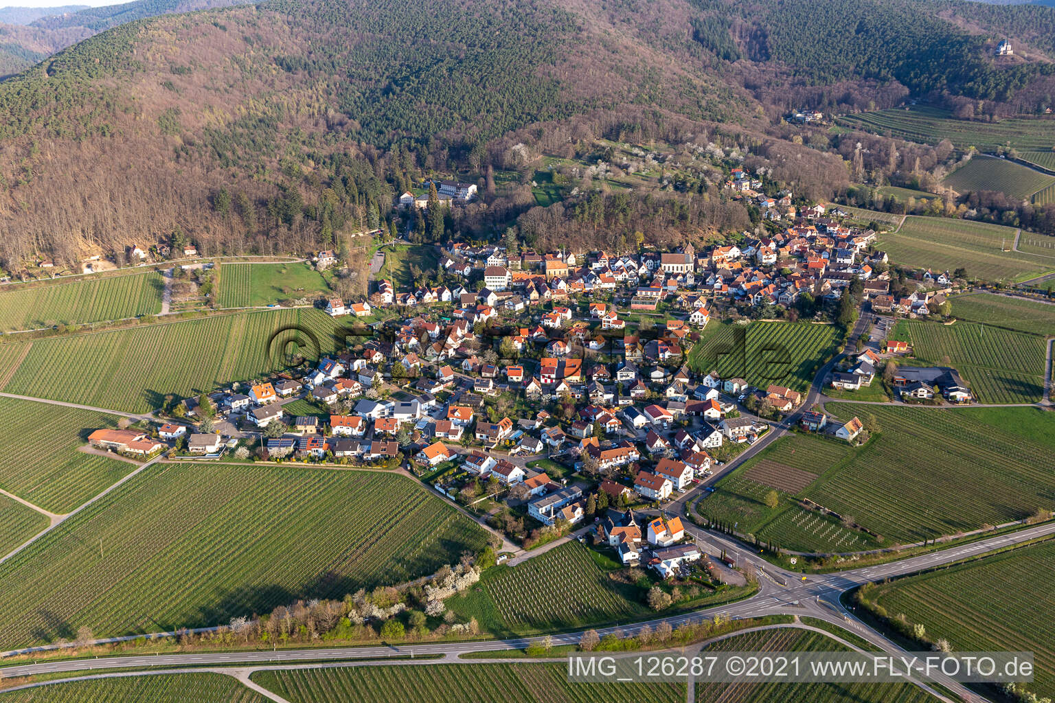 Gleisweiler in the state Rhineland-Palatinate, Germany from a drone