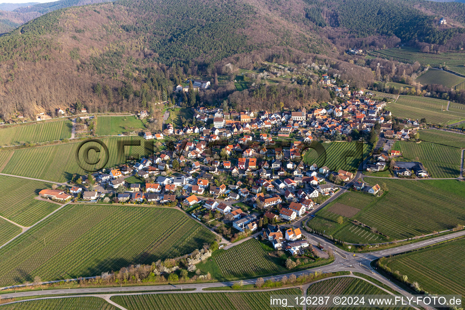 Gleisweiler in the state Rhineland-Palatinate, Germany from a drone