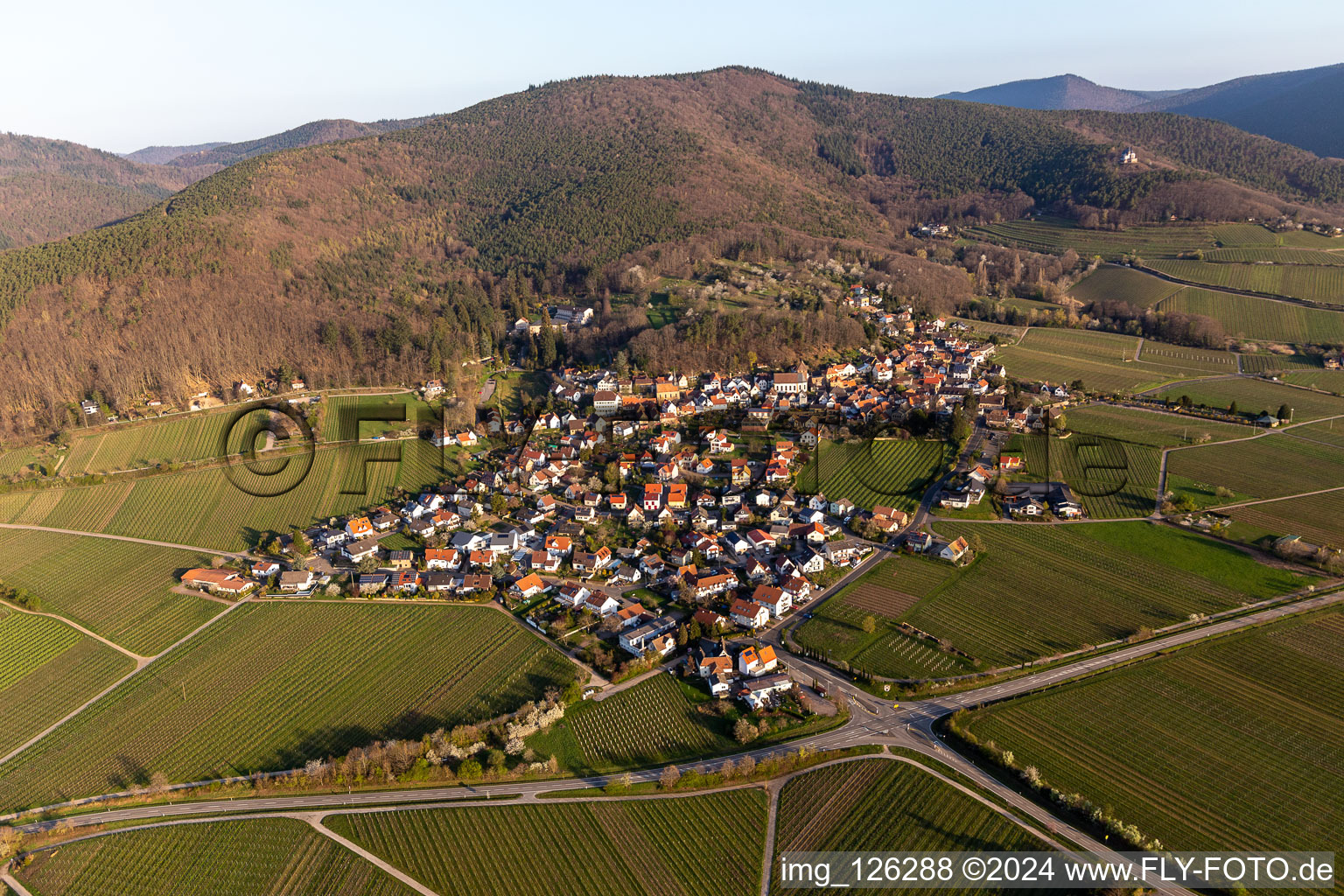 Village on the edge of vineyards and wineries in the wine-growing area in Gleisweiler in the state Rhineland-Palatinate, Germany