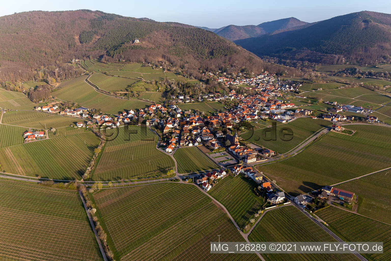 Burrweiler in the state Rhineland-Palatinate, Germany from a drone