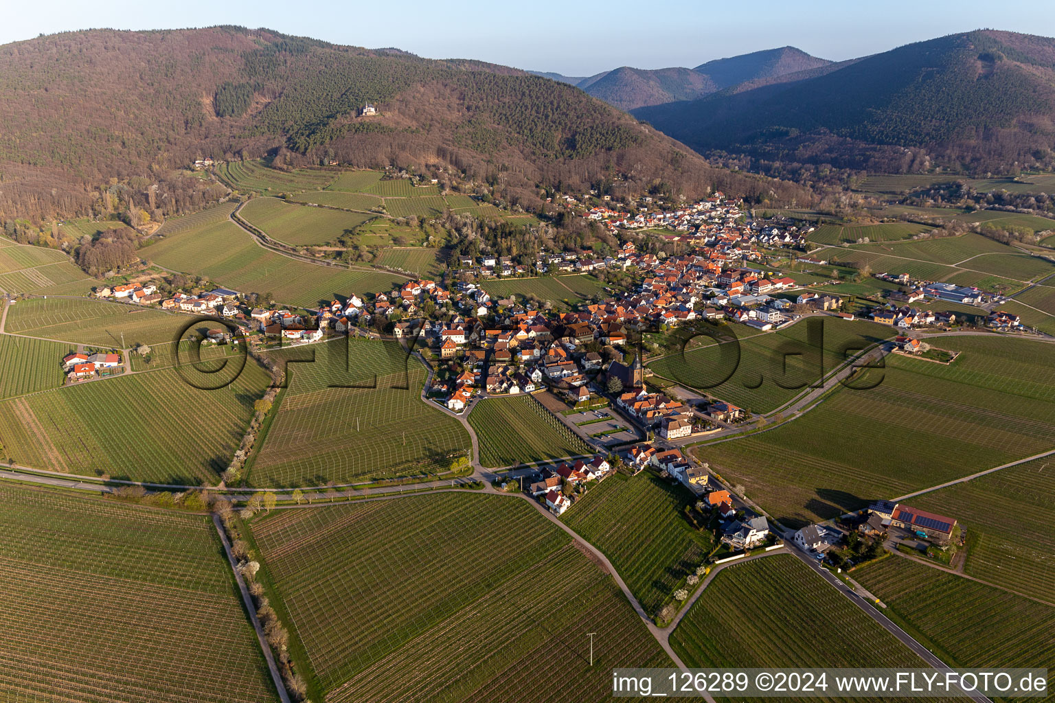 Burrweiler in the state Rhineland-Palatinate, Germany from a drone