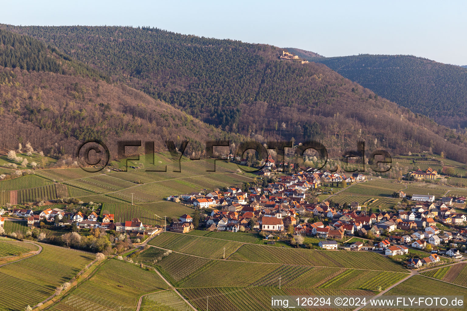 Weyher in der Pfalz in the state Rhineland-Palatinate, Germany from the drone perspective