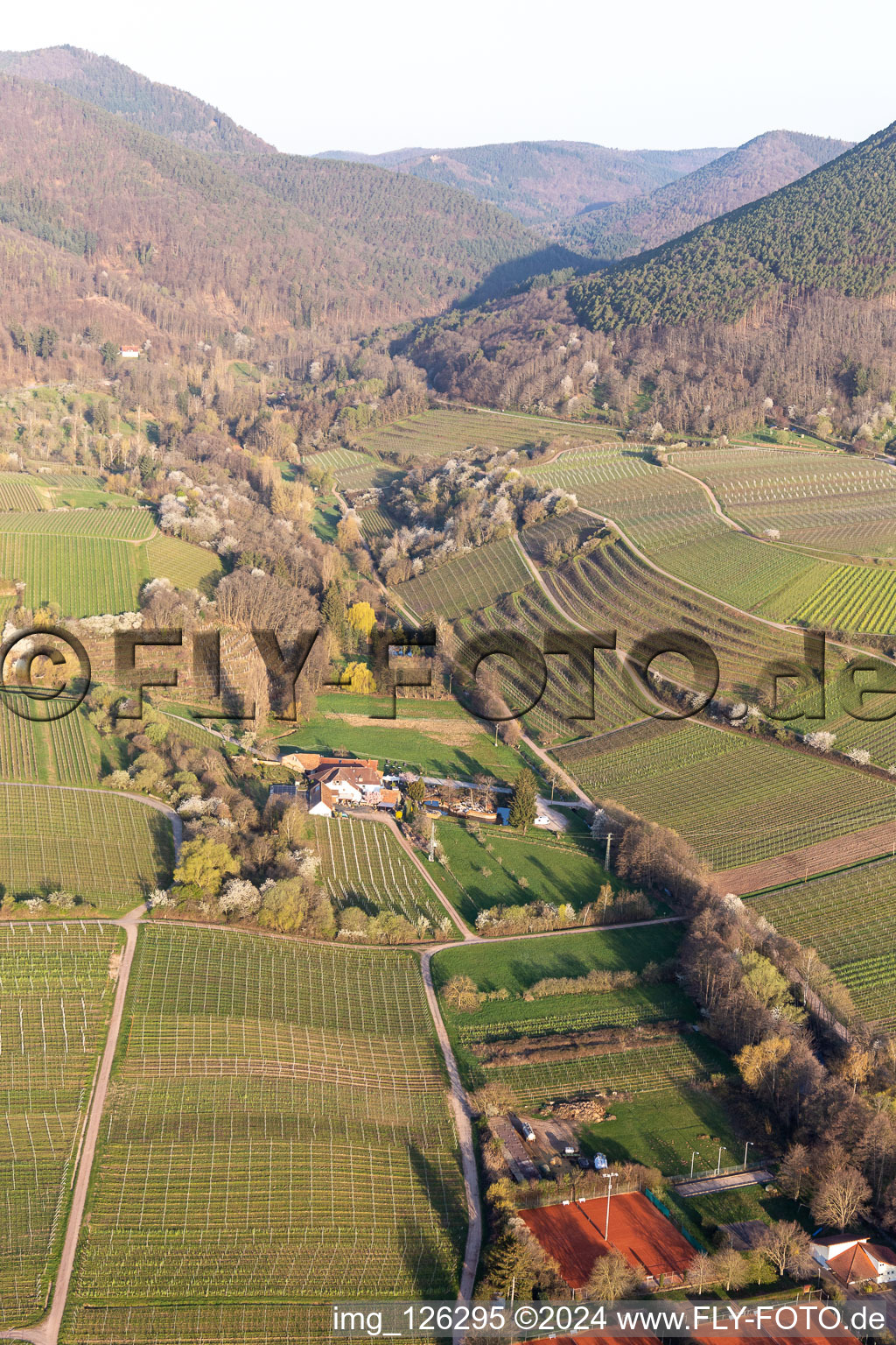 Modenbachtal in Burrweiler in the state Rhineland-Palatinate, Germany