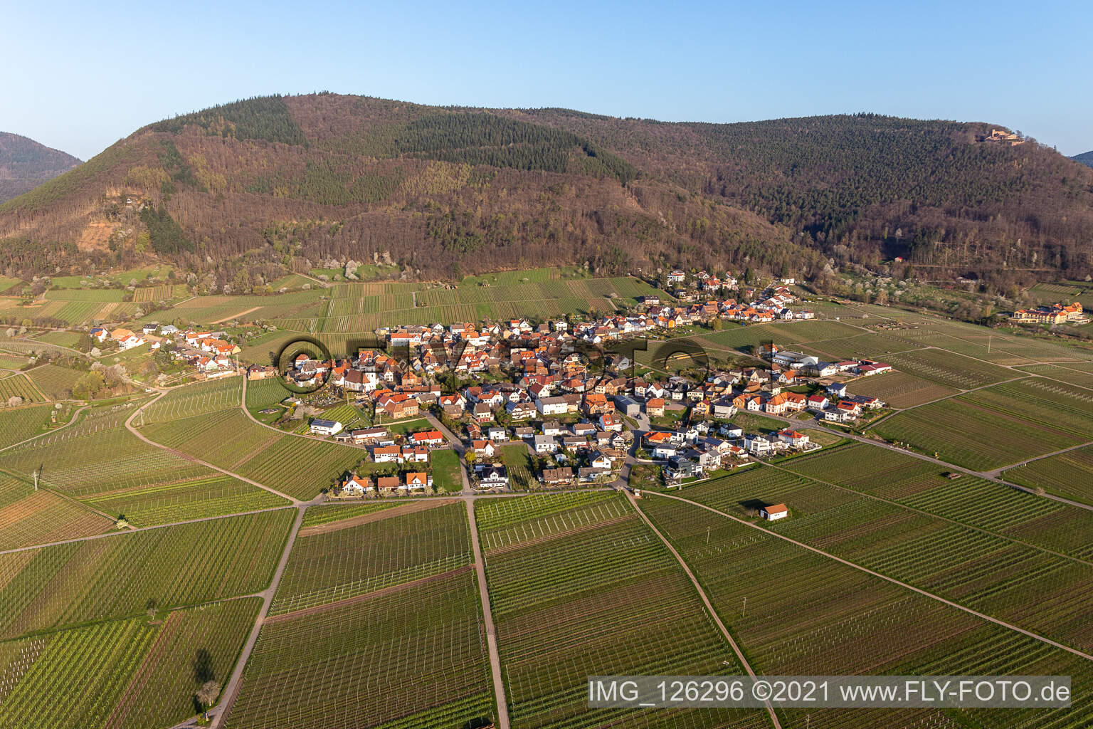Village on the edge of vineyards and wineries in the wine-growing area in Weyher in der Pfalz in the state Rhineland-Palatinate, Germany