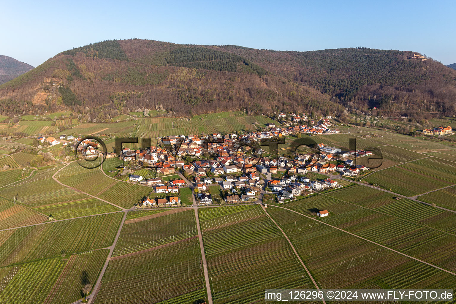 Village on the edge of vineyards and wineries in the wine-growing area in Weyher in der Pfalz in the state Rhineland-Palatinate, Germany