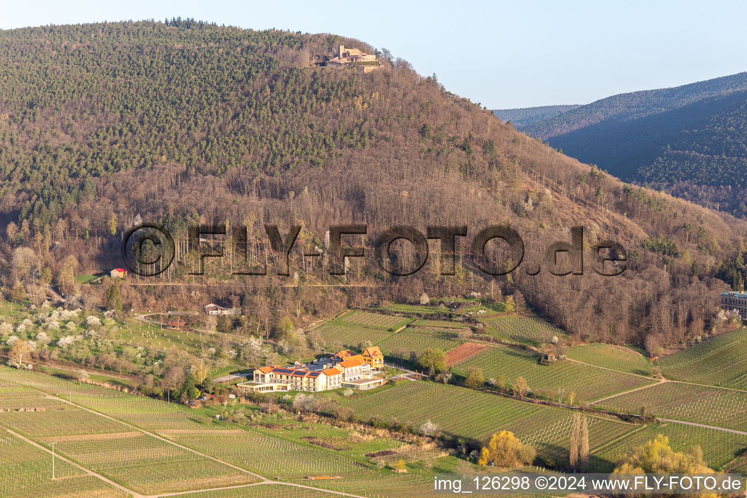 Wellness hotel Alte Rebschule with guest house Sesel under the Riedburg in the district Rhodt in Rhodt unter Rietburg in the state Rhineland-Palatinate, Germany