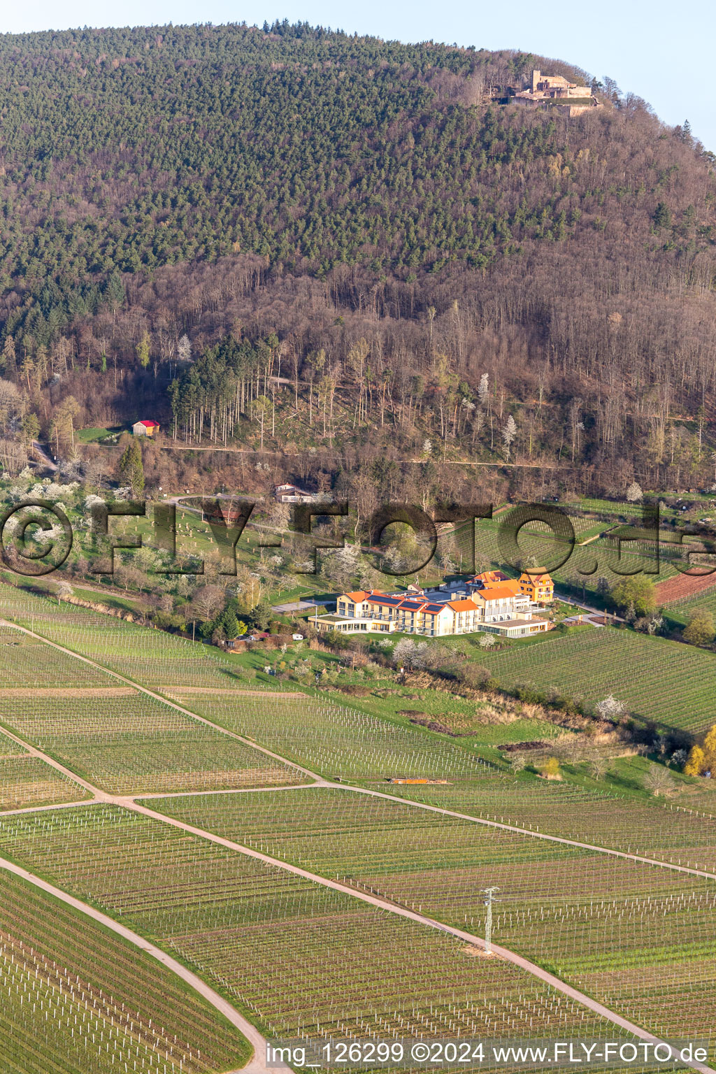 Complex of the hotel building Wohlfuehlhotel Alte Rebschule and Gasthaus Sesel in springtime in Rhodt unter Rietburg in the state Rhineland-Palatinate, Germany