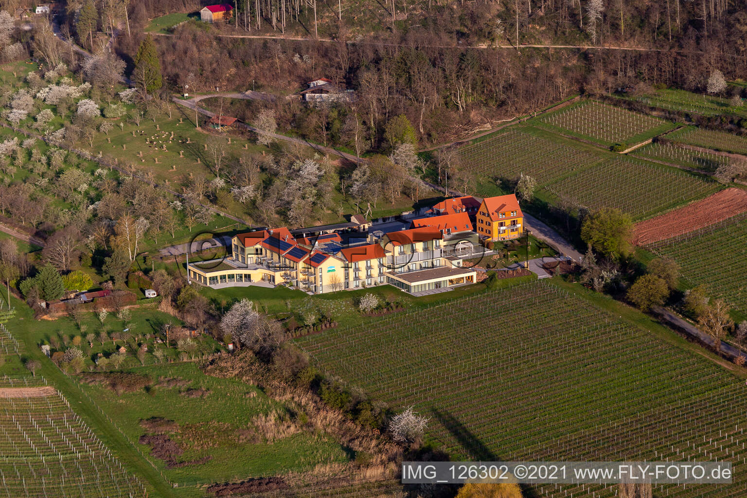 Aerial view of Complex of the hotel building Wohlfuehlhotel Alte Rebschule and Gasthaus Sesel in springtime in Rhodt unter Rietburg in the state Rhineland-Palatinate, Germany