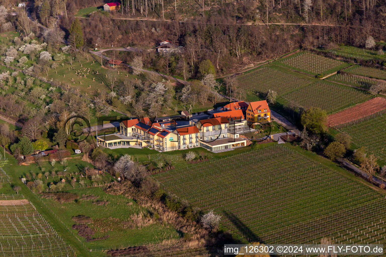 Aerial view of Complex of the hotel building Wohlfuehlhotel Alte Rebschule and Gasthaus Sesel in springtime in Rhodt unter Rietburg in the state Rhineland-Palatinate, Germany