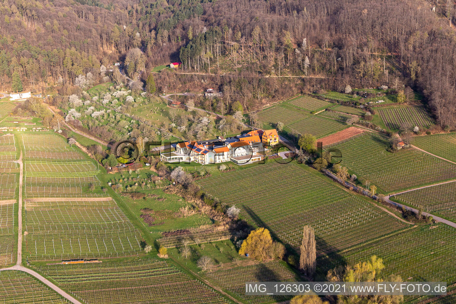 Aerial photograpy of Complex of the hotel building Wohlfuehlhotel Alte Rebschule and Gasthaus Sesel in springtime in Rhodt unter Rietburg in the state Rhineland-Palatinate, Germany