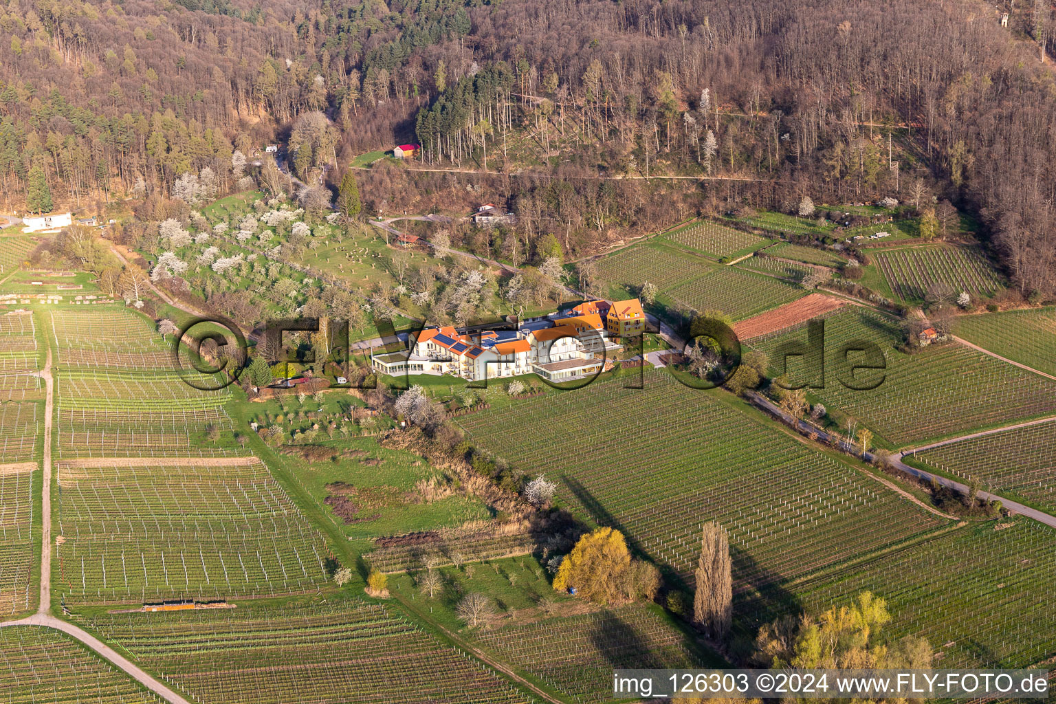 Aerial photograpy of Complex of the hotel building Wohlfuehlhotel Alte Rebschule and Gasthaus Sesel in springtime in Rhodt unter Rietburg in the state Rhineland-Palatinate, Germany