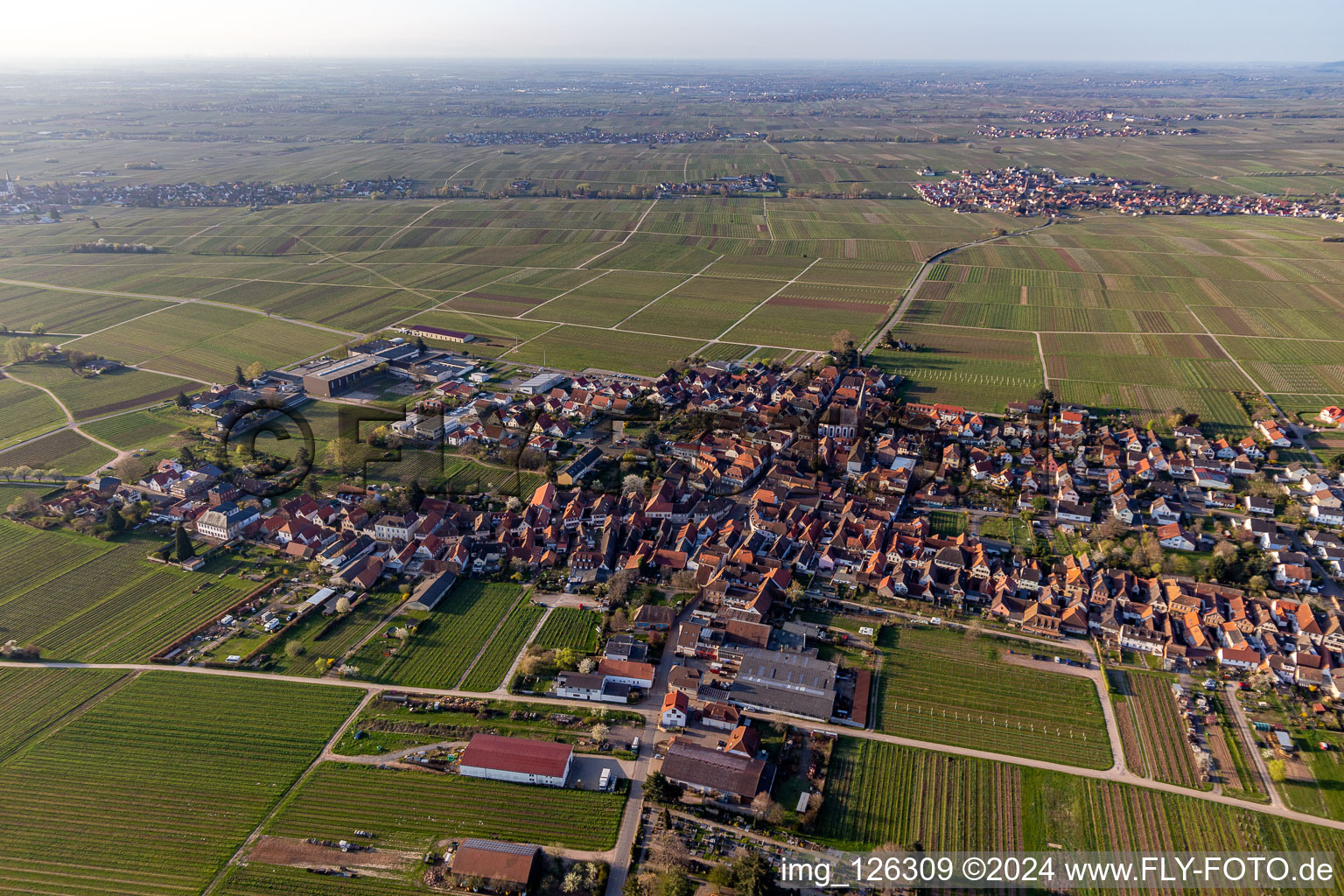 District Rhodt in Rhodt unter Rietburg in the state Rhineland-Palatinate, Germany from above