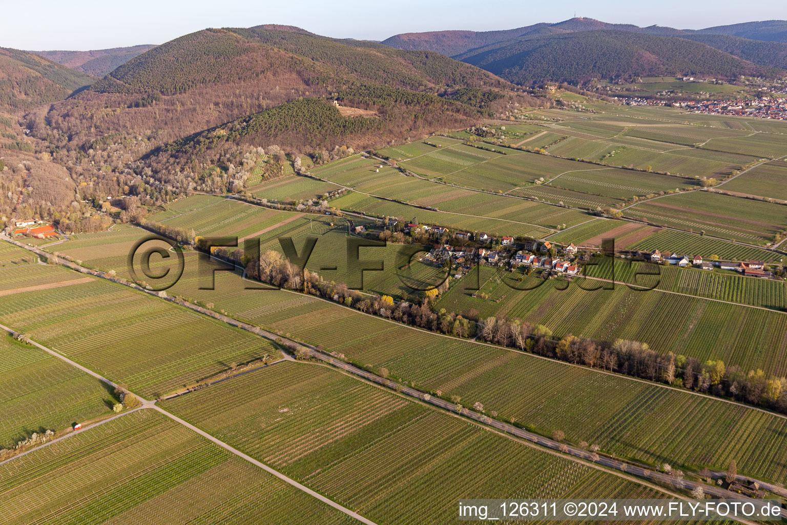 District Rhodt in Rhodt unter Rietburg in the state Rhineland-Palatinate, Germany out of the air