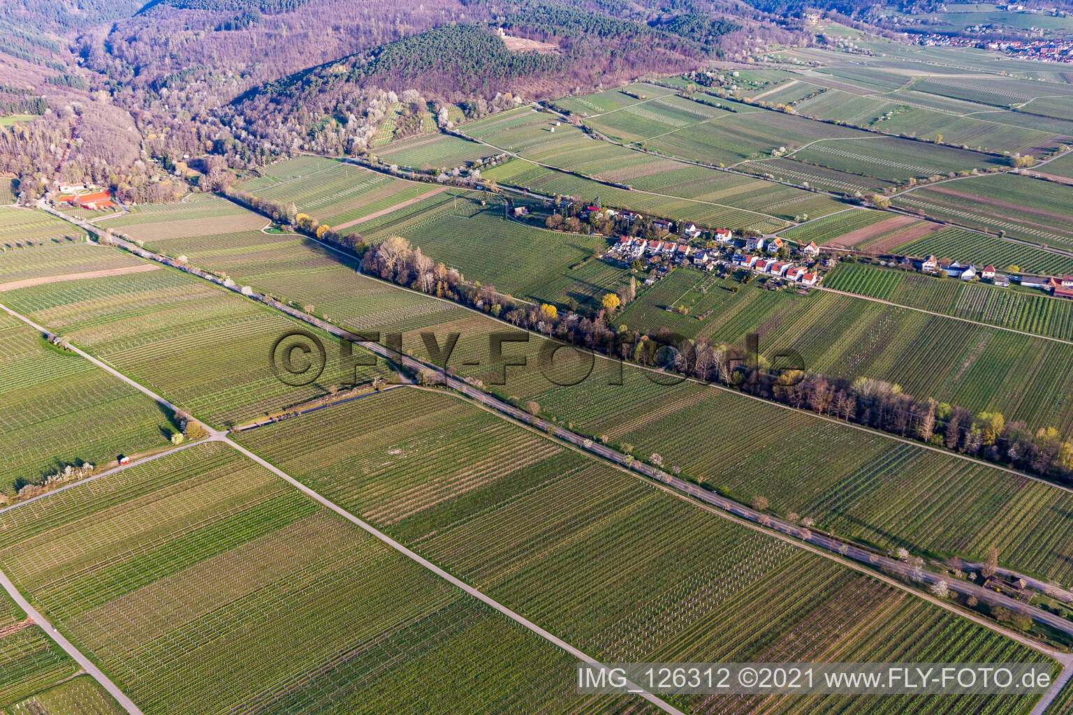 Aerial view of Villastraße with almond blossom in Edenkoben in the state Rhineland-Palatinate, Germany