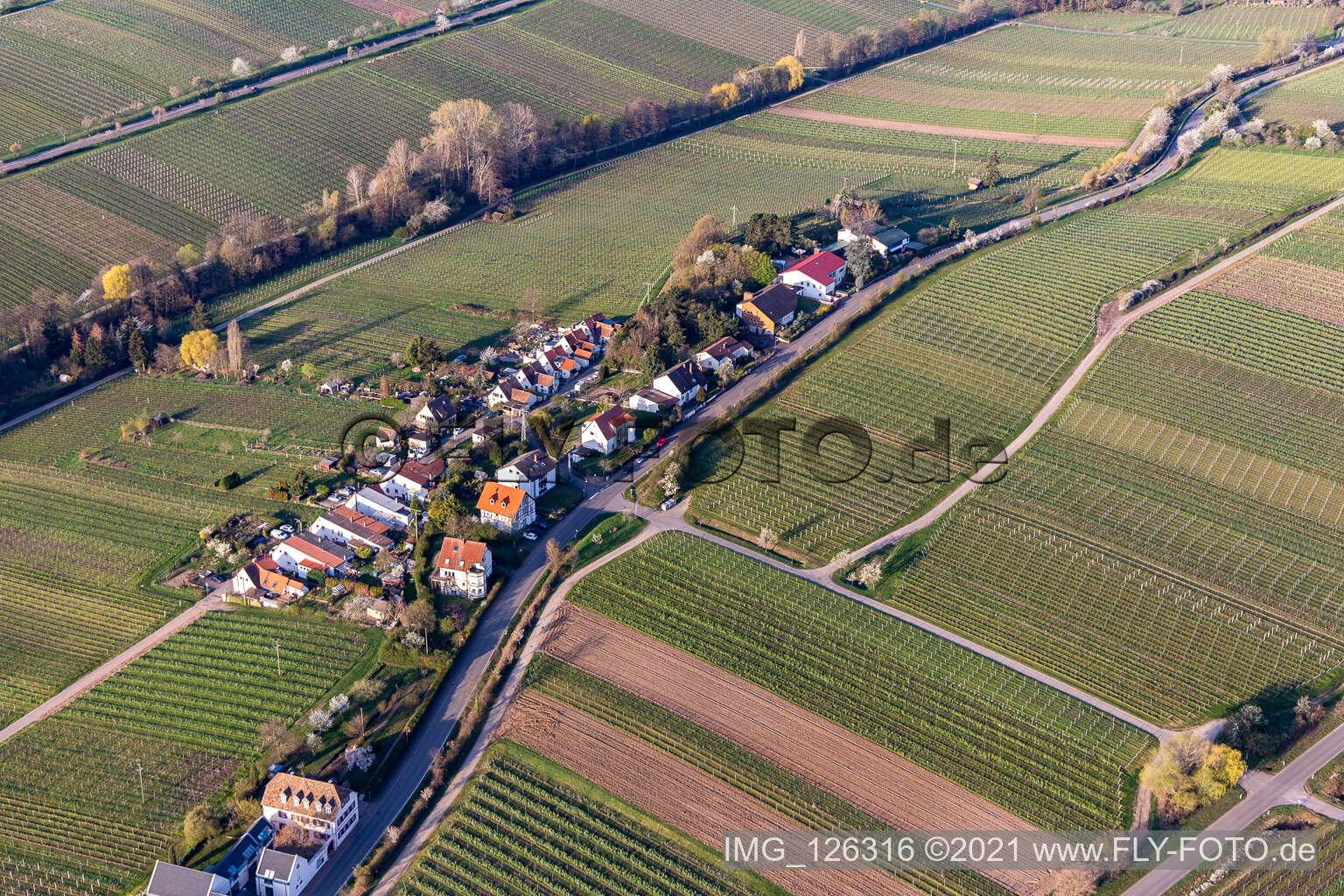 Aerial view of Settlement on Klosterstrasse in Edenkoben in the state Rhineland-Palatinate, Germany