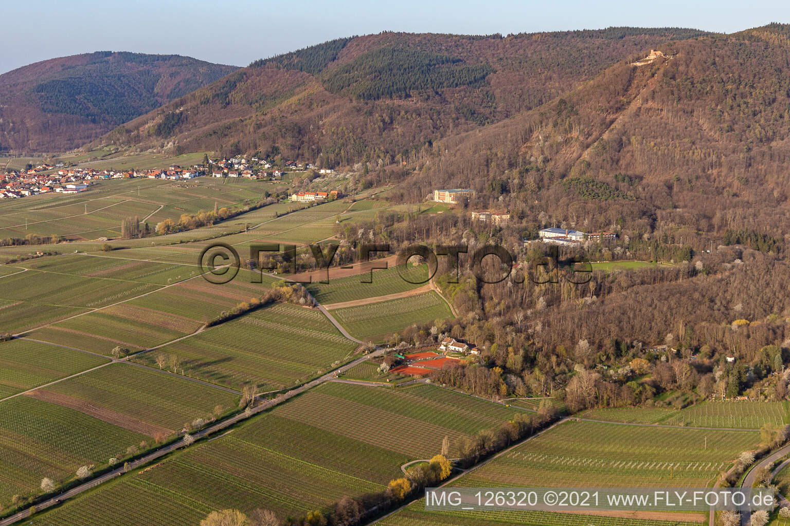 Castle Villa Ludwigshöhe in Edenkoben in the state Rhineland-Palatinate, Germany from above