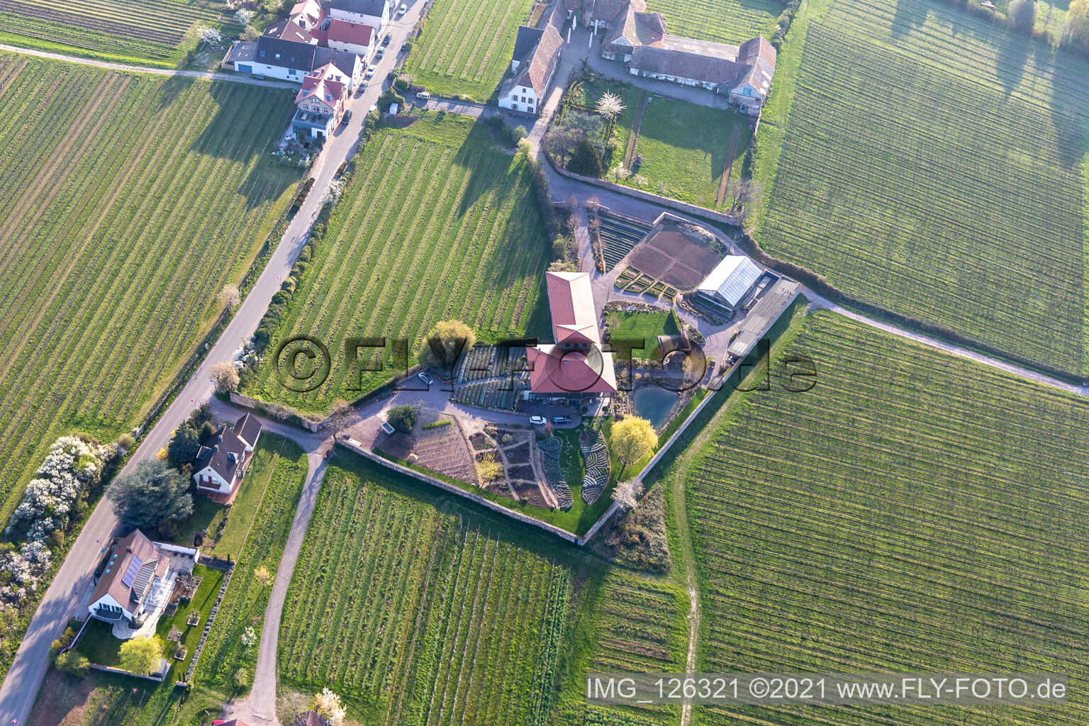 Aerial view of Edenkoben in the state Rhineland-Palatinate, Germany