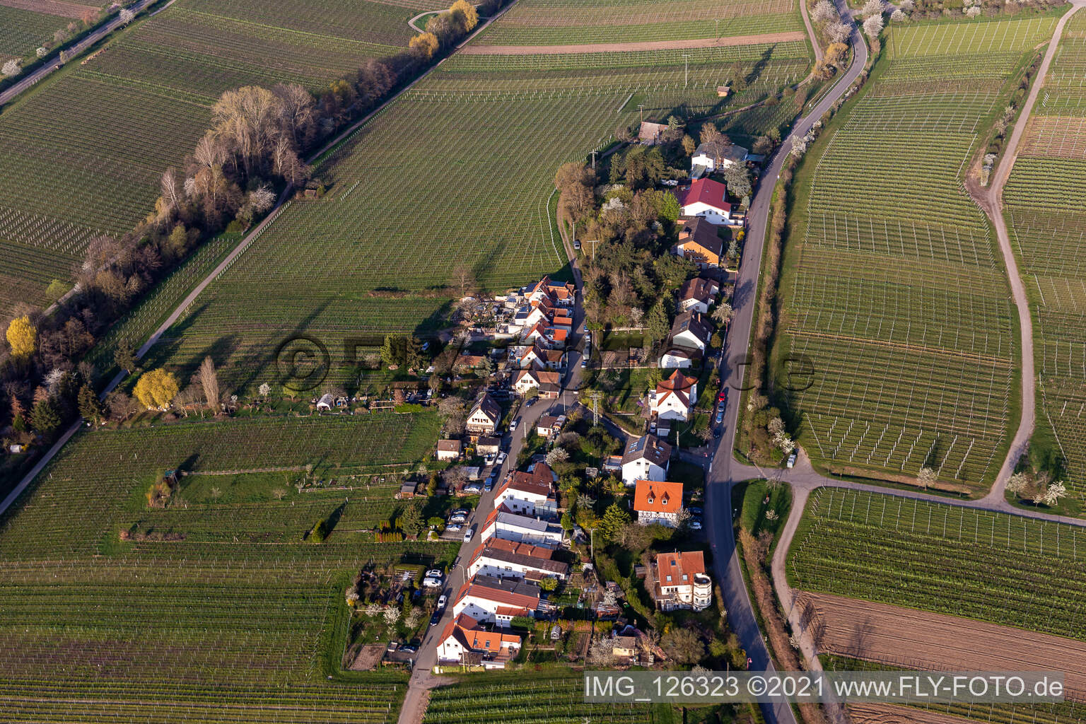 Aerial photograpy of Settlement on Klosterstrasse in Edenkoben in the state Rhineland-Palatinate, Germany