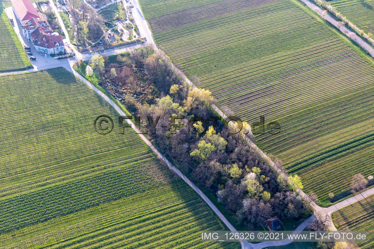 Triefenbach Valley in Edenkoben in the state Rhineland-Palatinate, Germany