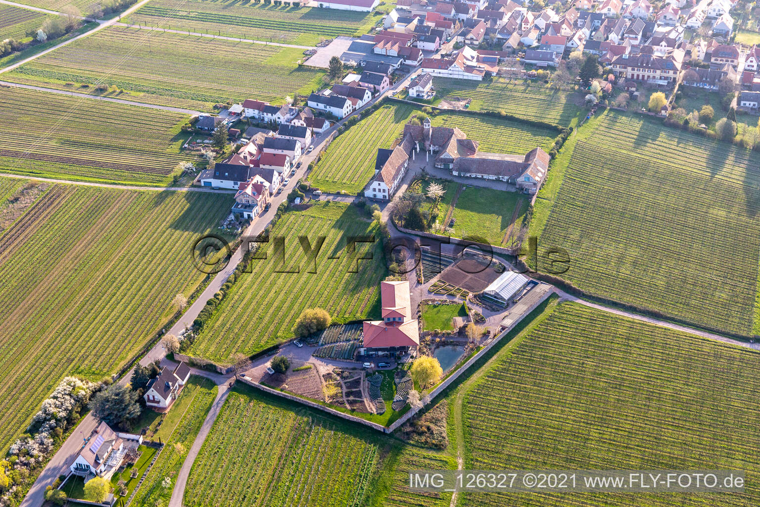 Aerial photograpy of Edenkoben in the state Rhineland-Palatinate, Germany